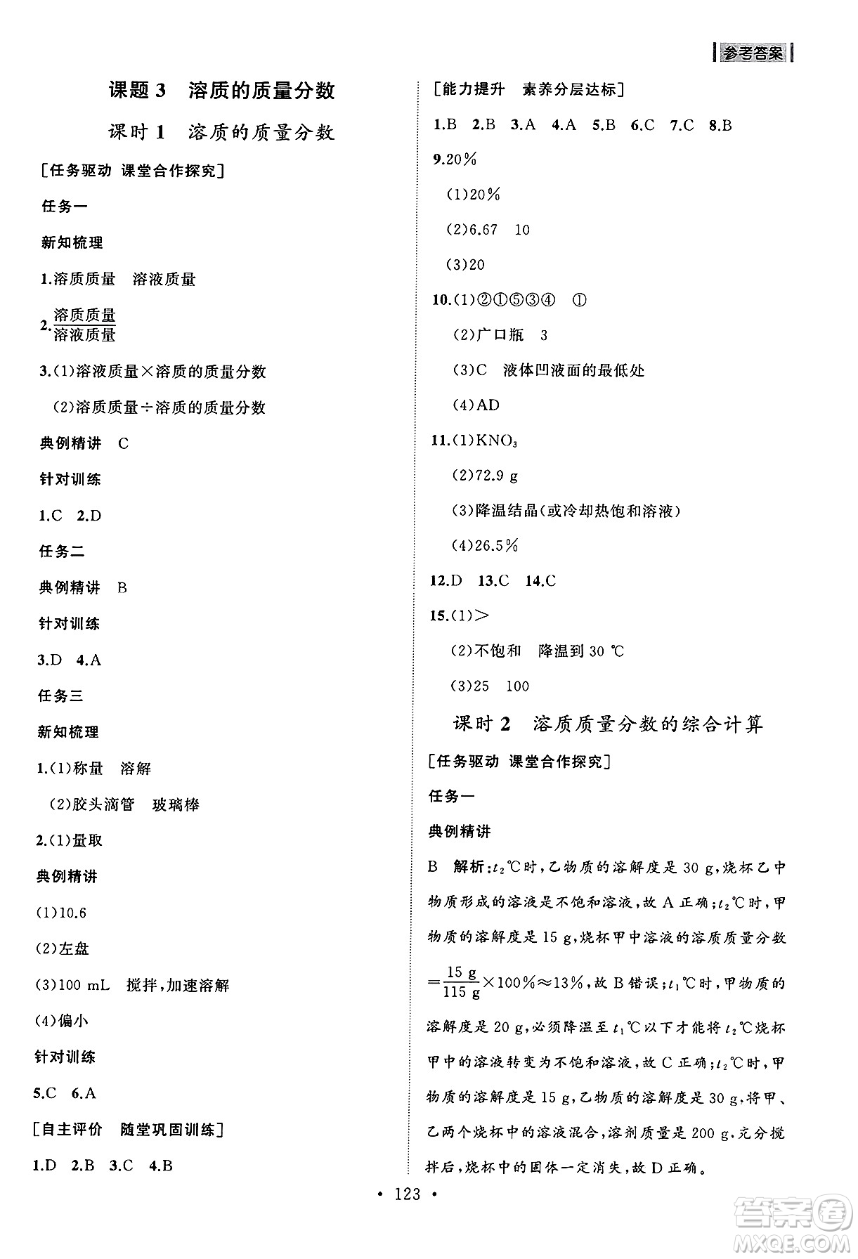 山東人民出版社2025年春初中同步練習(xí)冊九年級化學(xué)下冊人教版山東專版答案