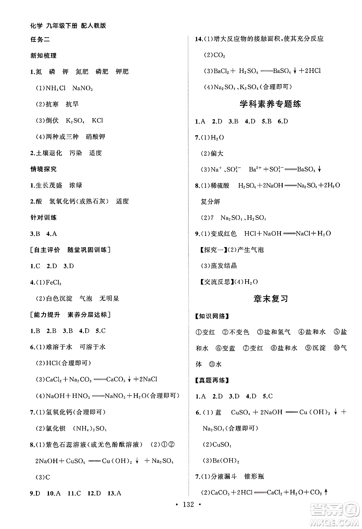 山東人民出版社2025年春初中同步練習(xí)冊九年級化學(xué)下冊人教版山東專版答案