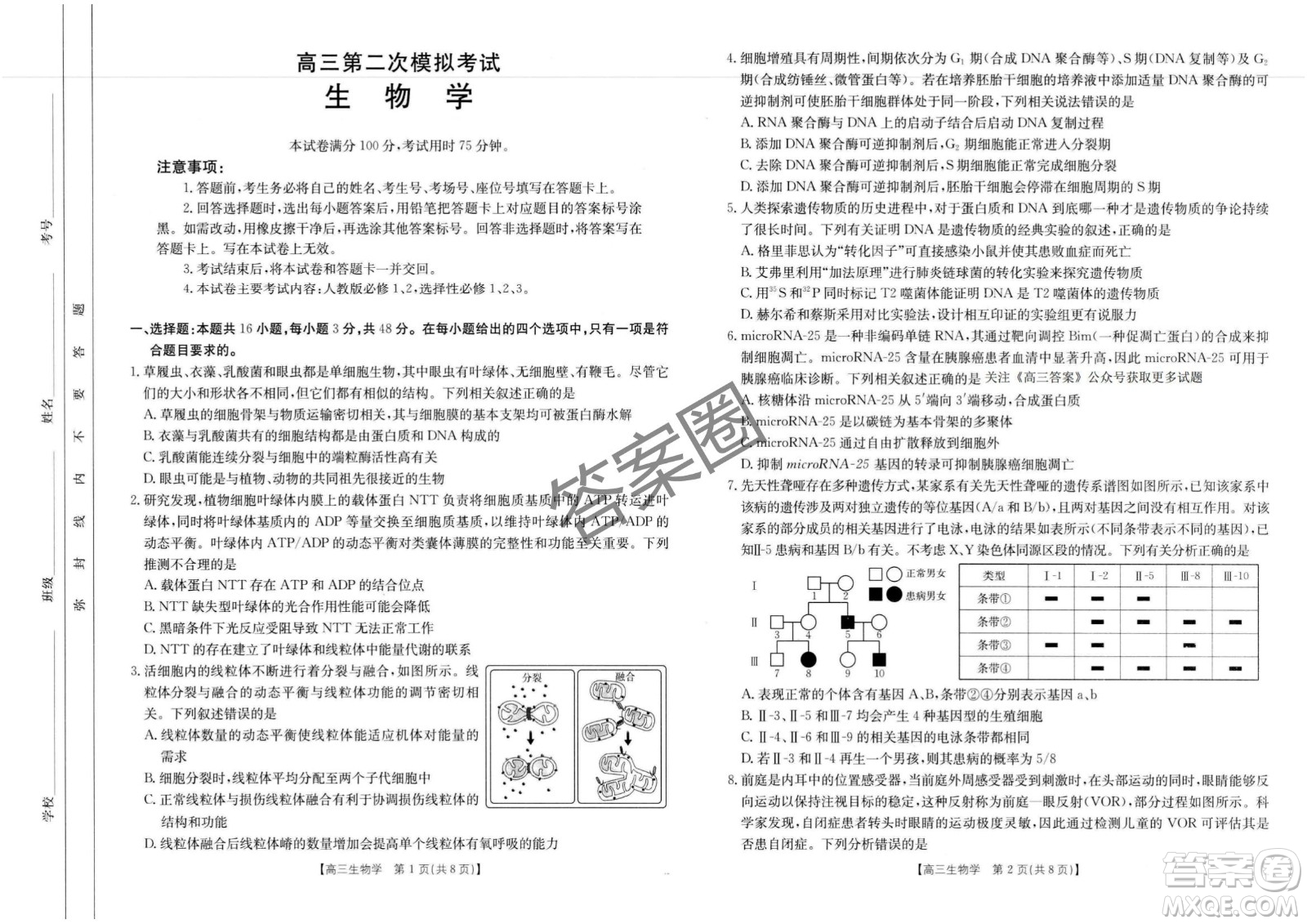 2025年4月河南省高三第二次模擬考試生物試題答案