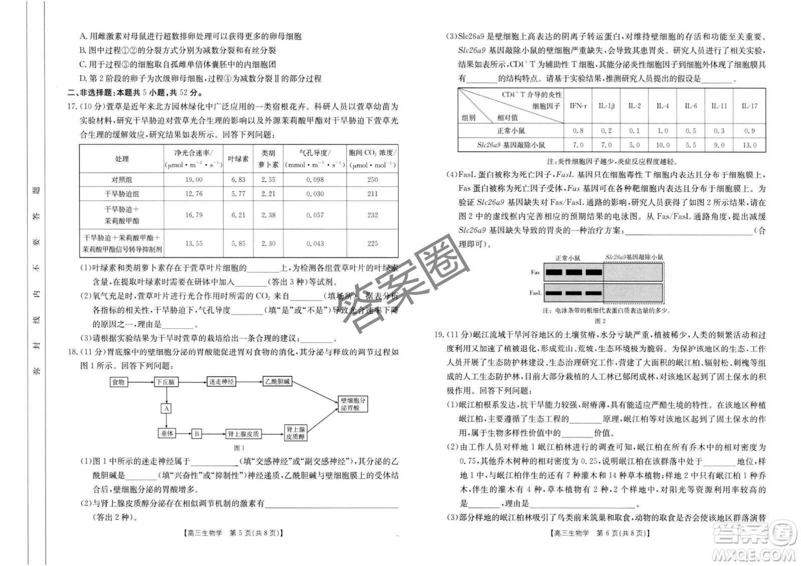 2025年4月河南省高三第二次模擬考試生物試題答案