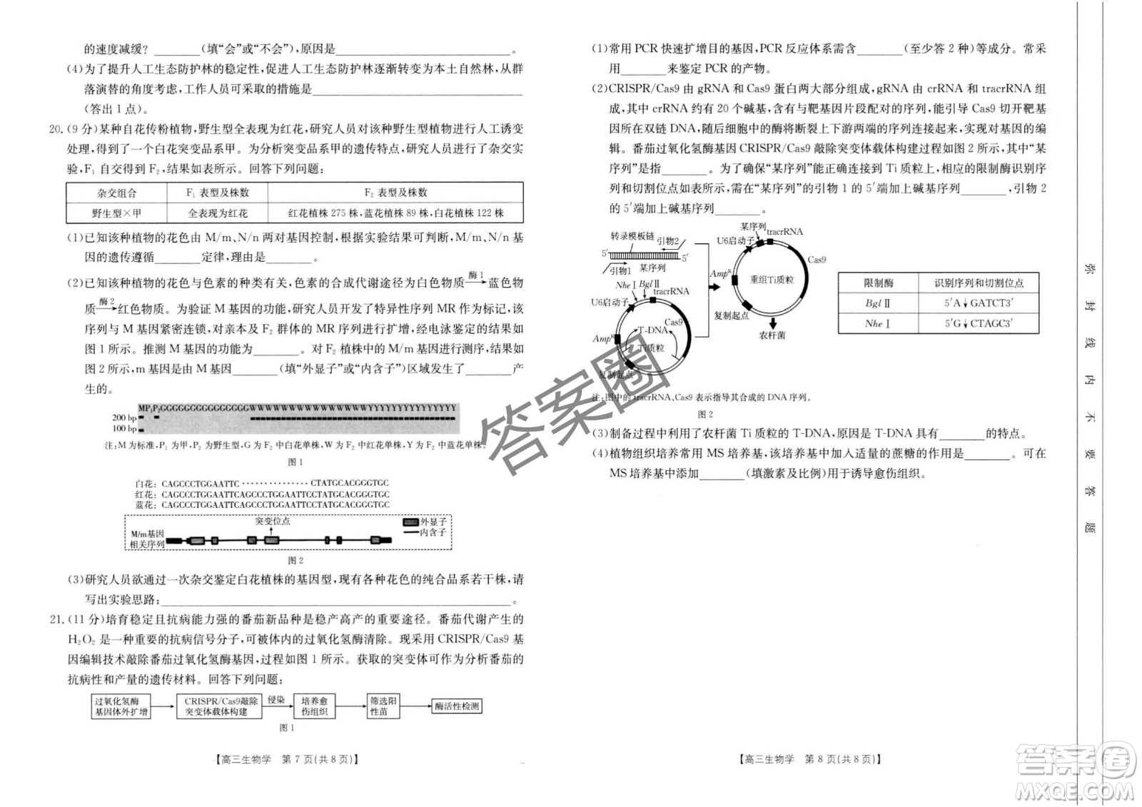 2025年4月河南省高三第二次模擬考試生物試題答案