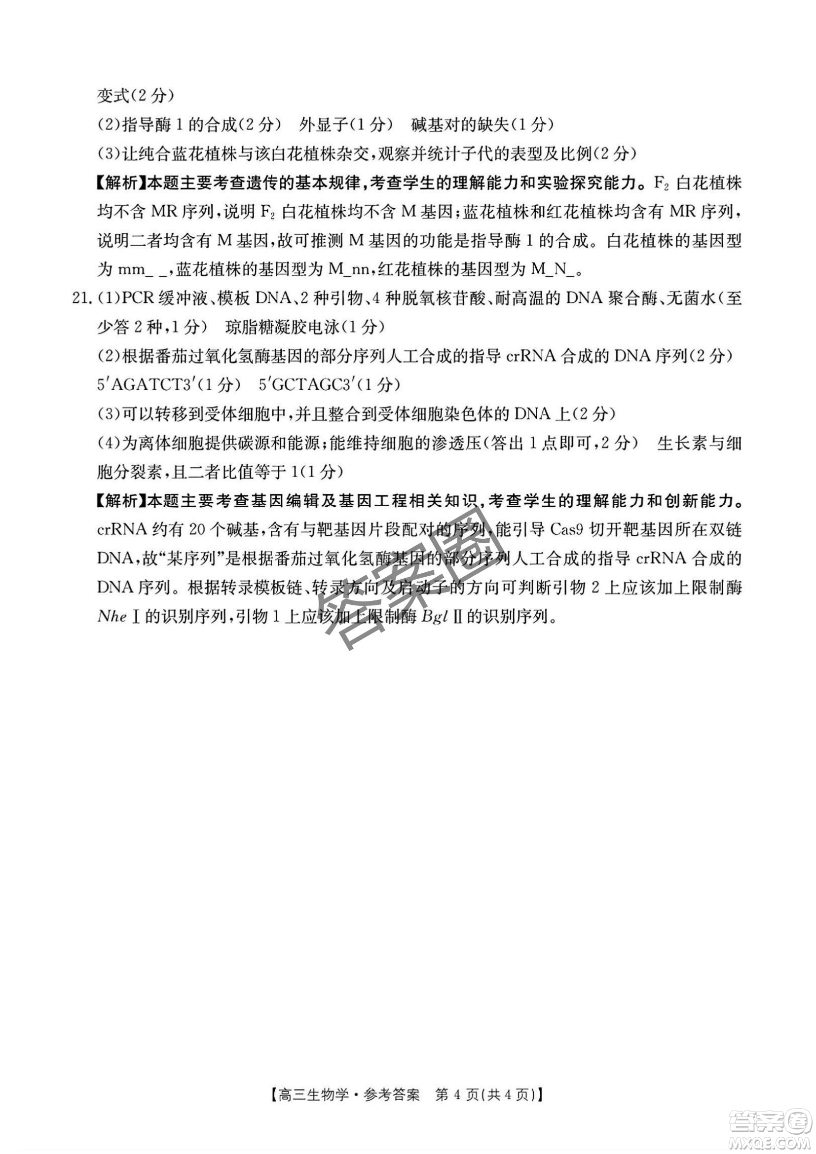 2025年4月河南省高三第二次模擬考試生物試題答案