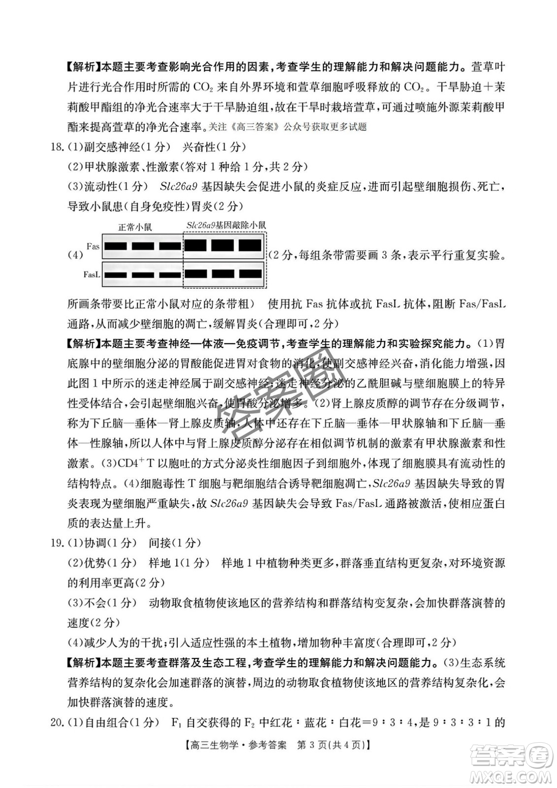 2025年4月河南省高三第二次模擬考試生物試題答案