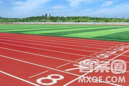 轉(zhuǎn)換賽道和堅守跑道材料作文800字 關于轉(zhuǎn)換賽道和堅守跑道的材料作文800字