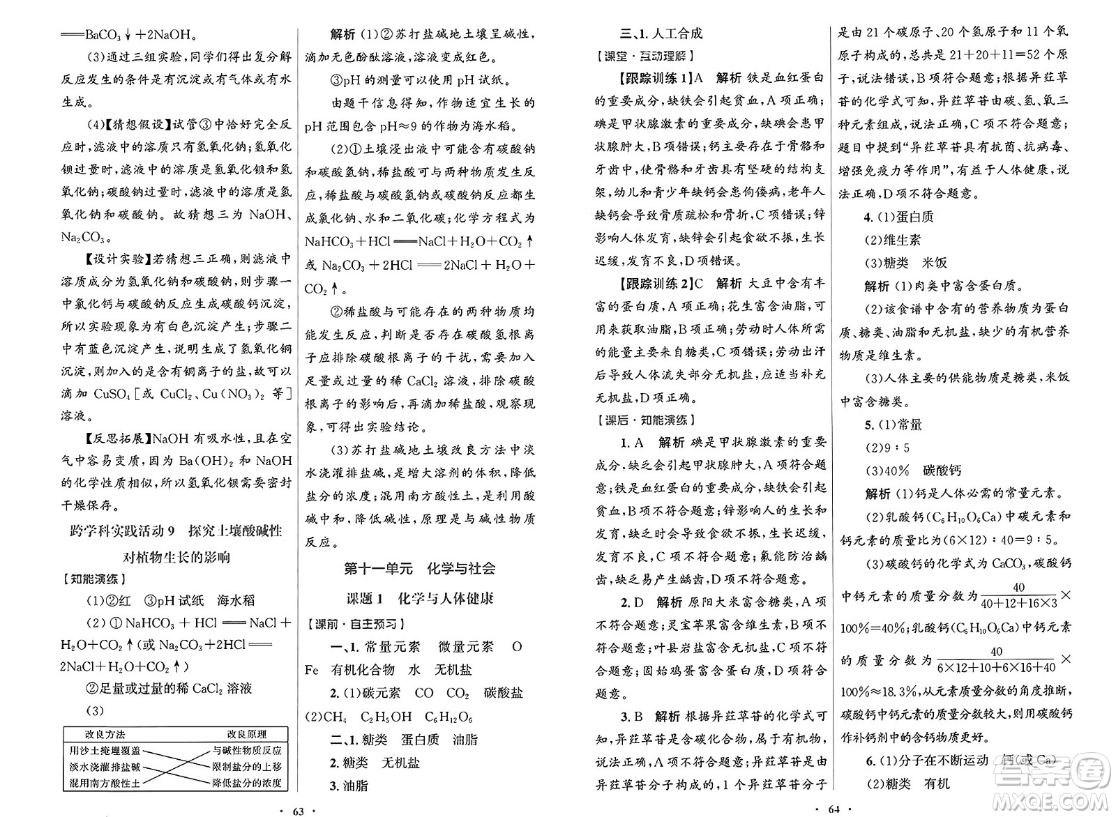 人民教育出版社2025年春初中同步測控優(yōu)化設(shè)計九年級化學(xué)下冊人教版答案