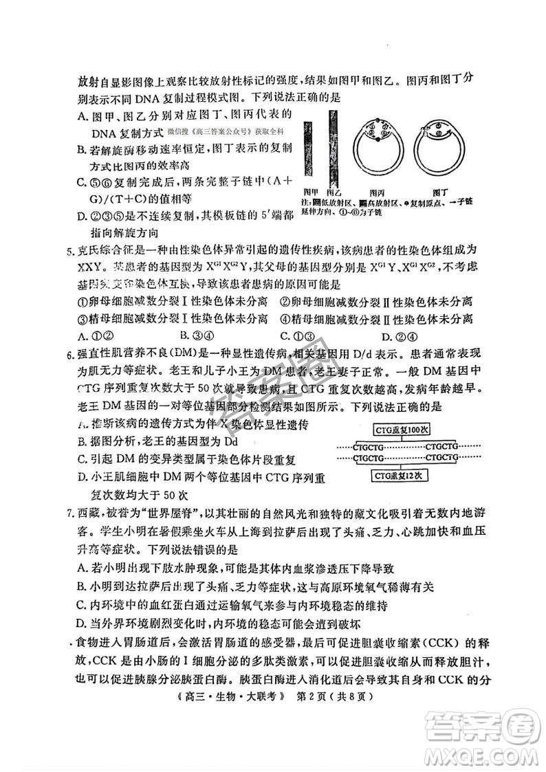 2025屆H20高中聯(lián)盟4月高三聯(lián)考生物試卷答案