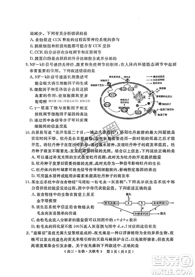 2025屆H20高中聯(lián)盟4月高三聯(lián)考生物試卷答案