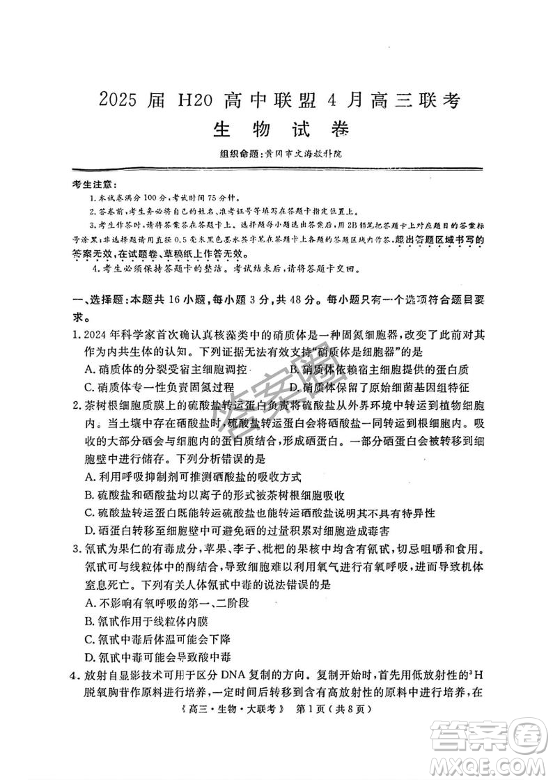 2025屆H20高中聯(lián)盟4月高三聯(lián)考生物試卷答案