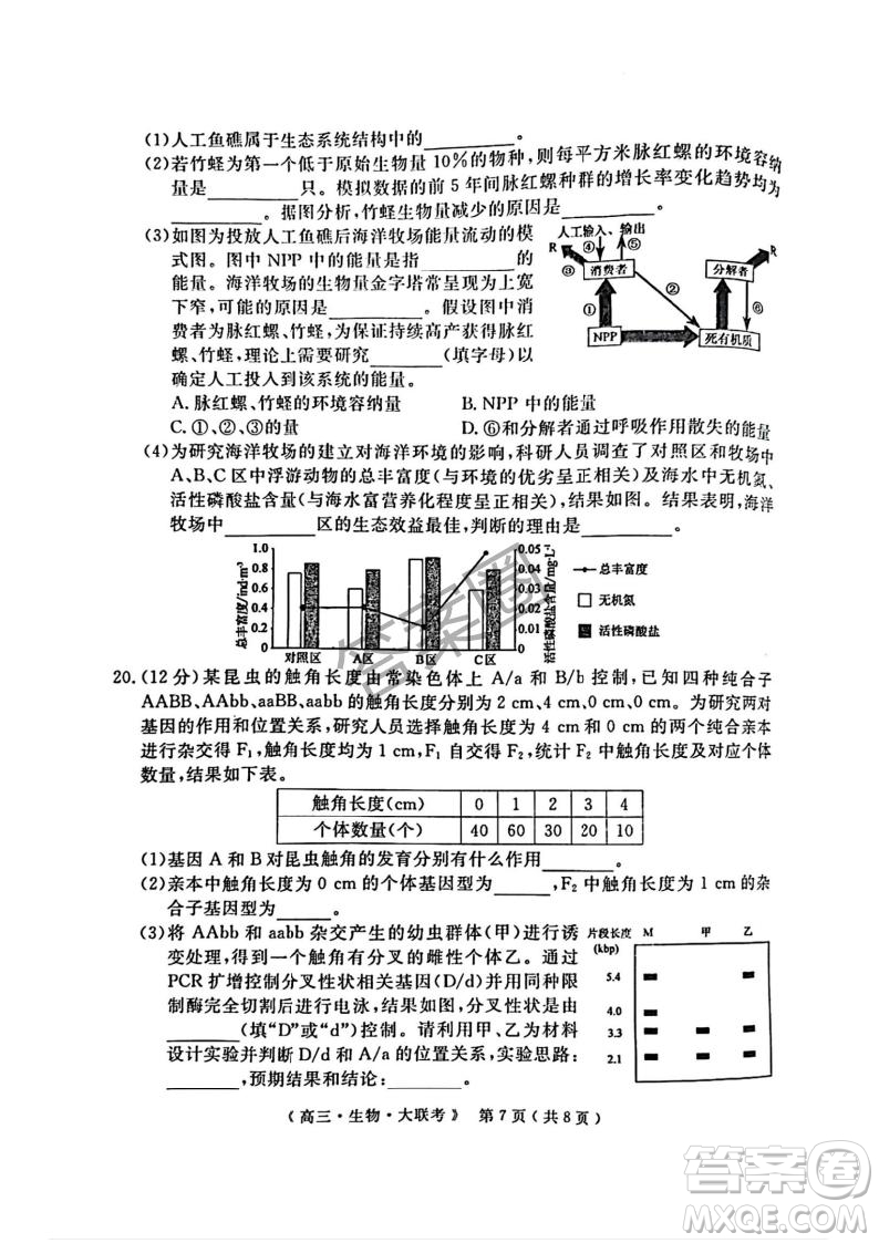 2025屆H20高中聯(lián)盟4月高三聯(lián)考生物試卷答案