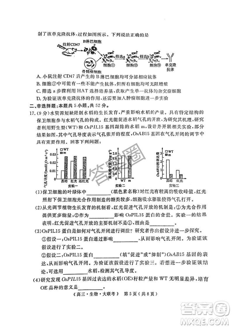 2025屆H20高中聯(lián)盟4月高三聯(lián)考生物試卷答案