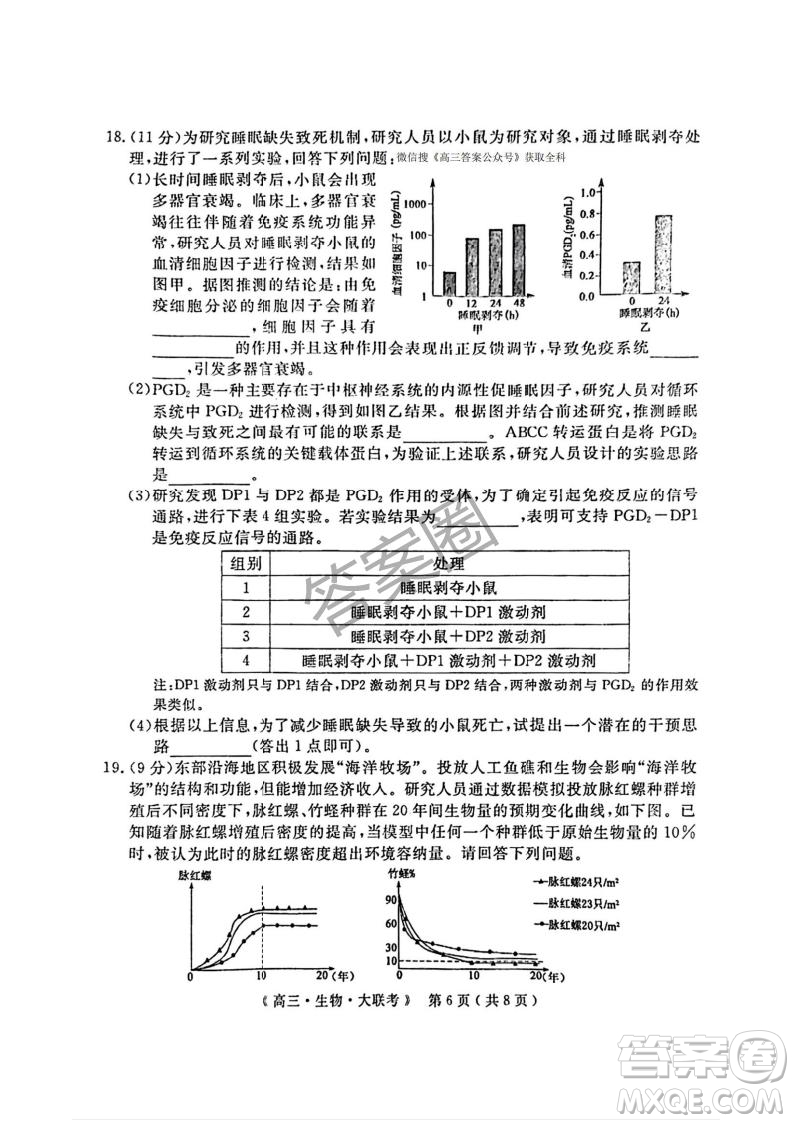 2025屆H20高中聯(lián)盟4月高三聯(lián)考生物試卷答案