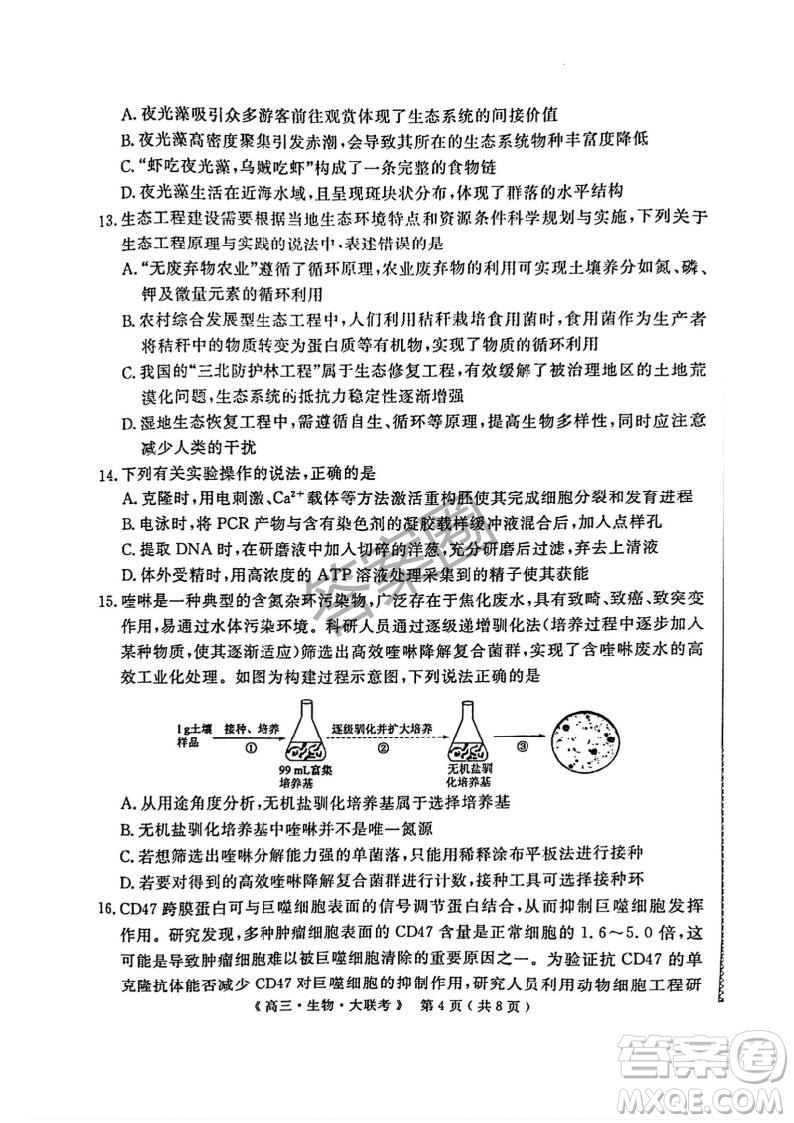 2025屆H20高中聯(lián)盟4月高三聯(lián)考生物試卷答案