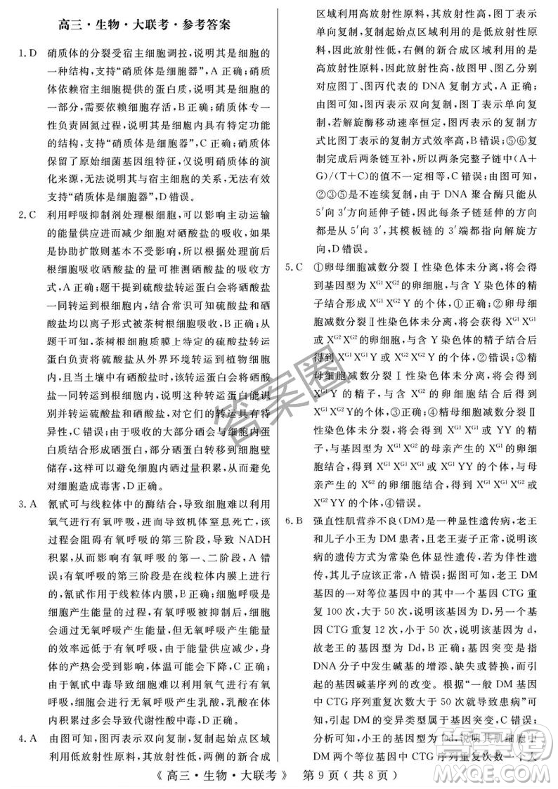 2025屆H20高中聯(lián)盟4月高三聯(lián)考生物試卷答案