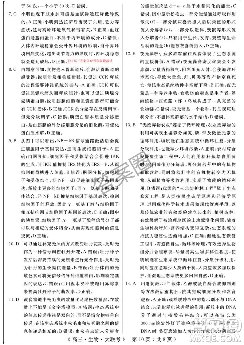 2025屆H20高中聯(lián)盟4月高三聯(lián)考生物試卷答案