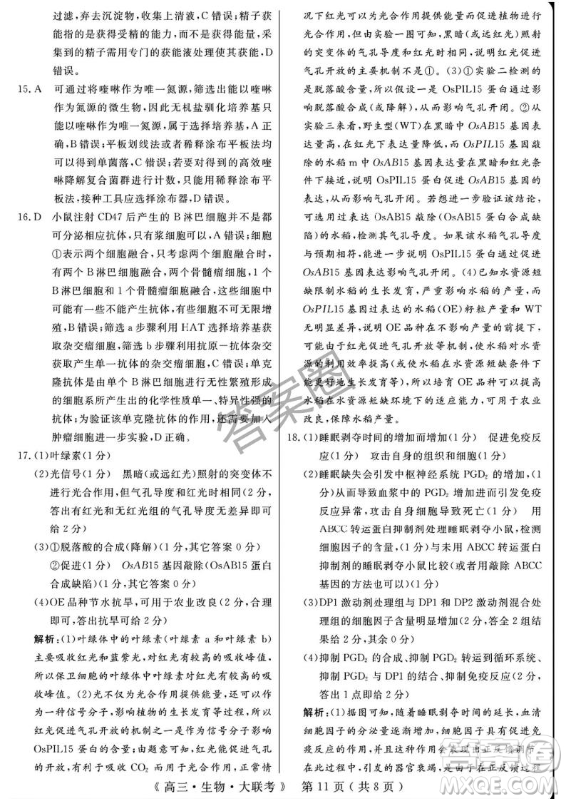 2025屆H20高中聯(lián)盟4月高三聯(lián)考生物試卷答案