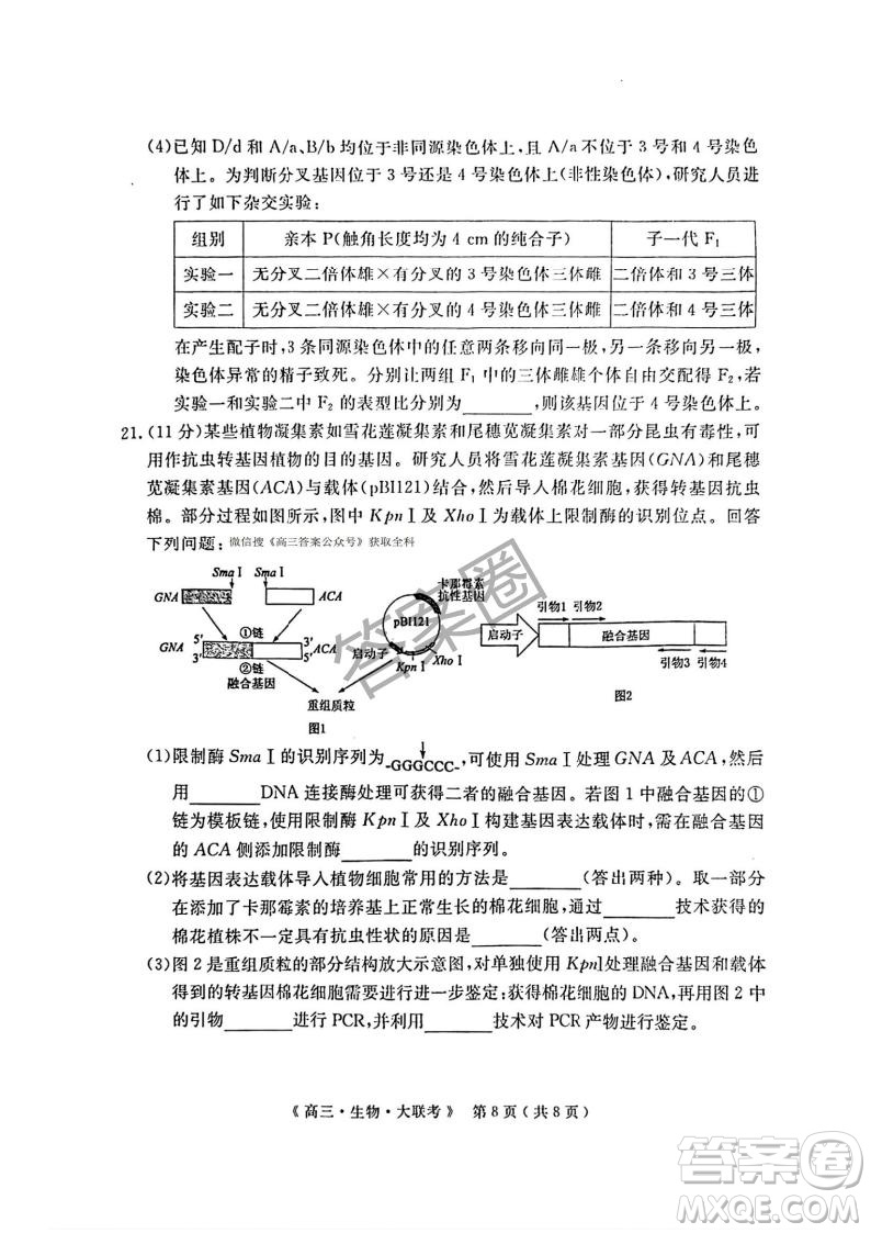 2025屆H20高中聯(lián)盟4月高三聯(lián)考生物試卷答案