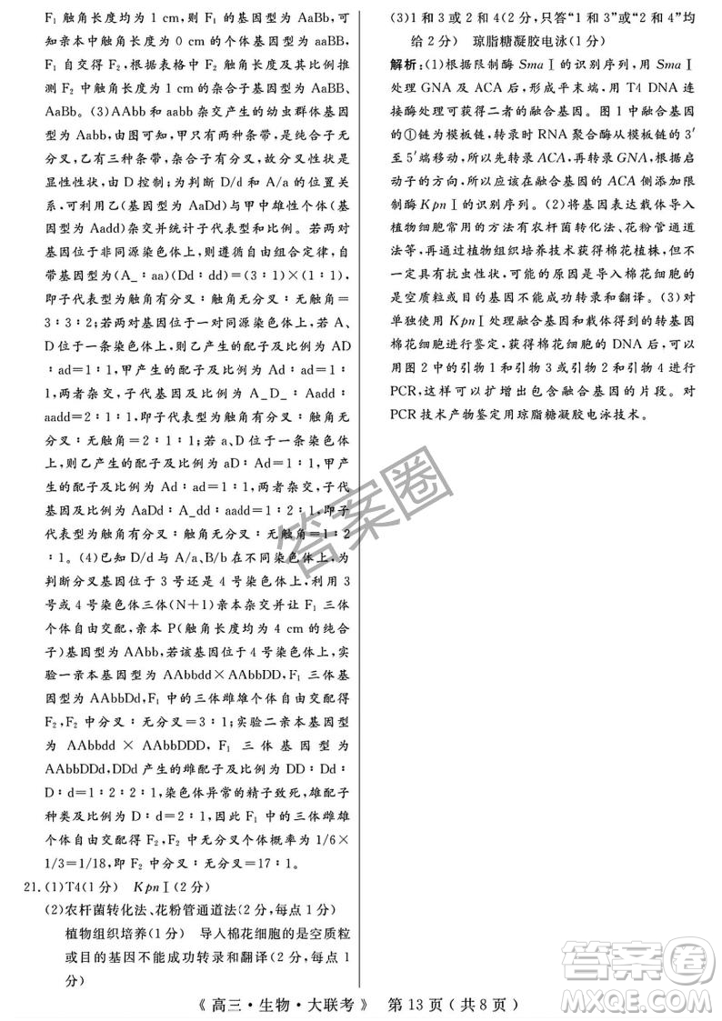 2025屆H20高中聯(lián)盟4月高三聯(lián)考生物試卷答案