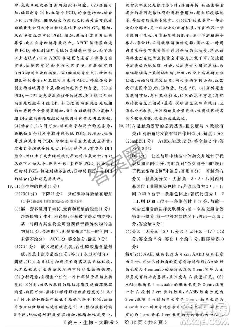 2025屆H20高中聯(lián)盟4月高三聯(lián)考生物試卷答案