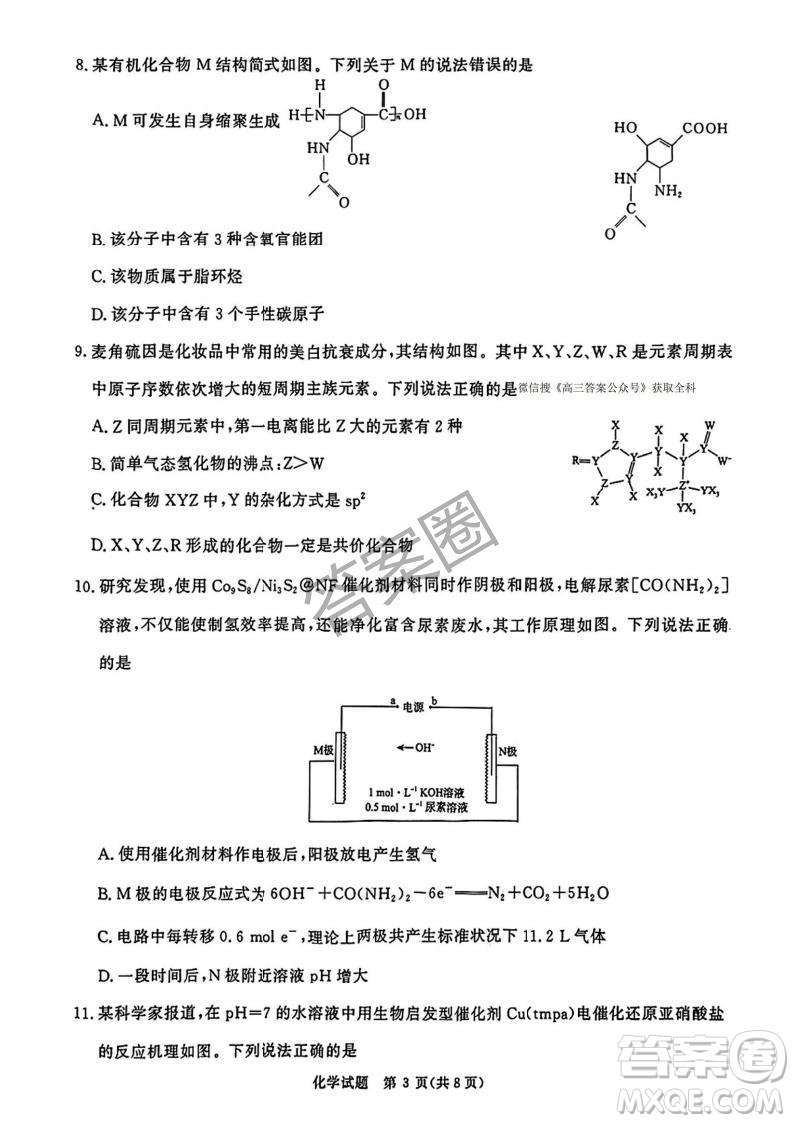 2025年4月青桐鳴大聯(lián)考高三化學(xué)試卷答案