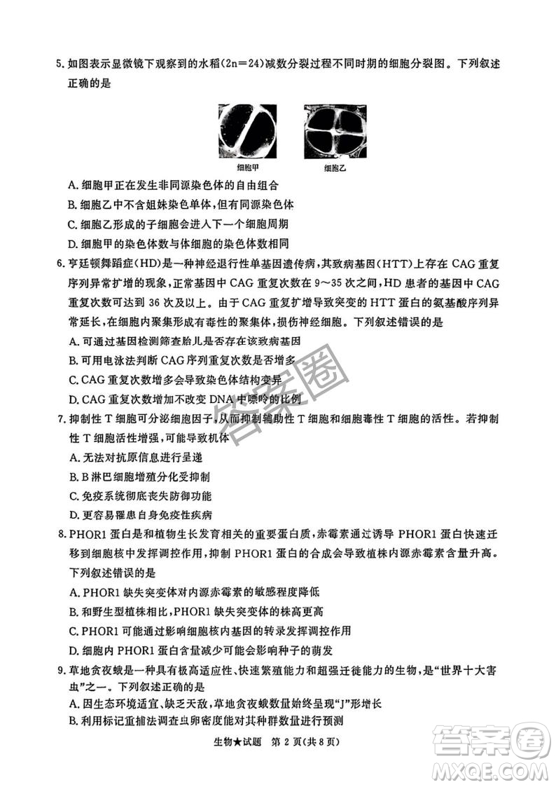 2025年4月青桐鳴大聯(lián)考高三生物試卷答案