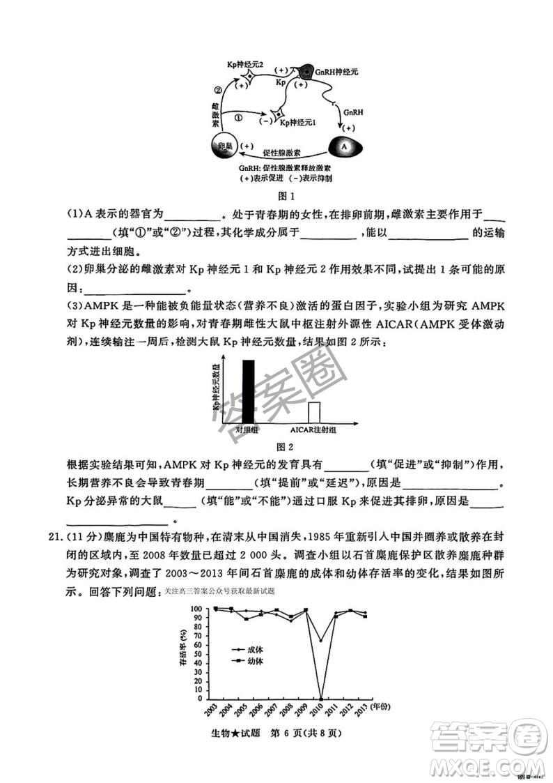 2025年4月青桐鳴大聯(lián)考高三生物試卷答案