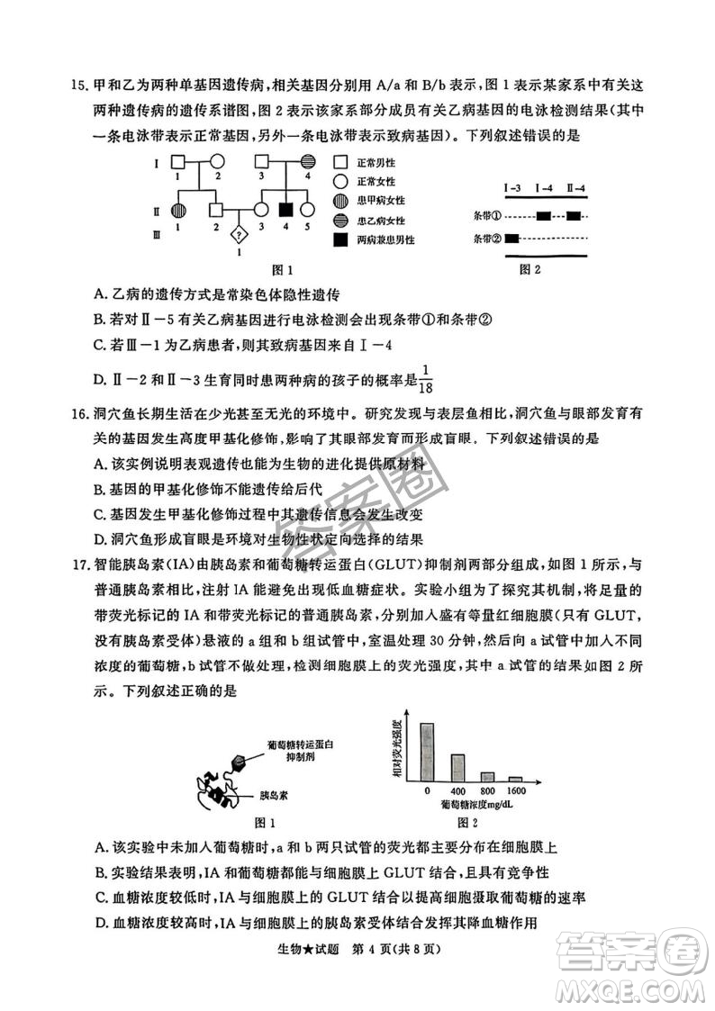 2025年4月青桐鳴大聯(lián)考高三生物試卷答案