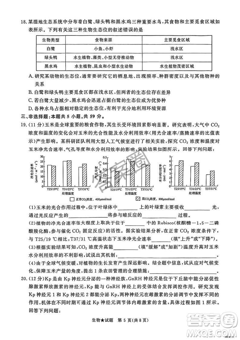 2025年4月青桐鳴大聯(lián)考高三生物試卷答案