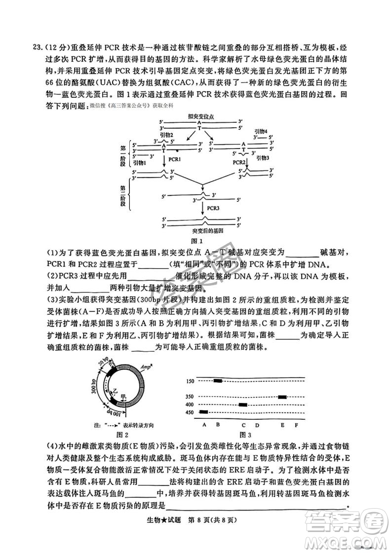 2025年4月青桐鳴大聯(lián)考高三生物試卷答案