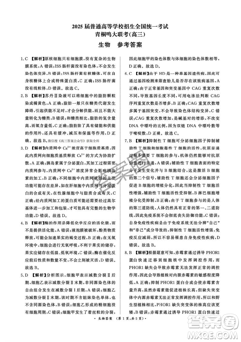 2025年4月青桐鳴大聯(lián)考高三生物試卷答案