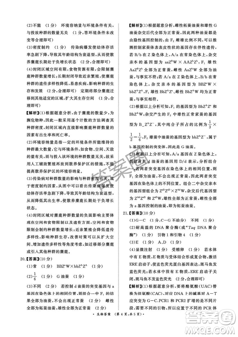 2025年4月青桐鳴大聯(lián)考高三生物試卷答案