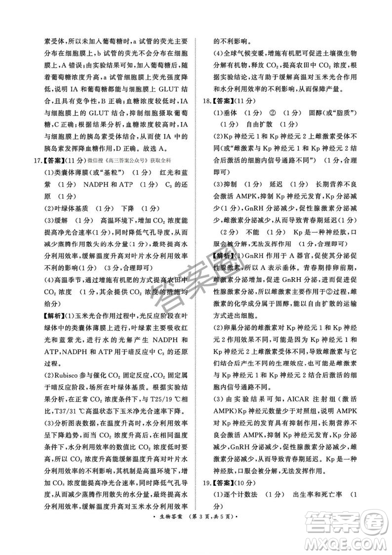 2025年4月青桐鳴大聯(lián)考高三生物試卷答案