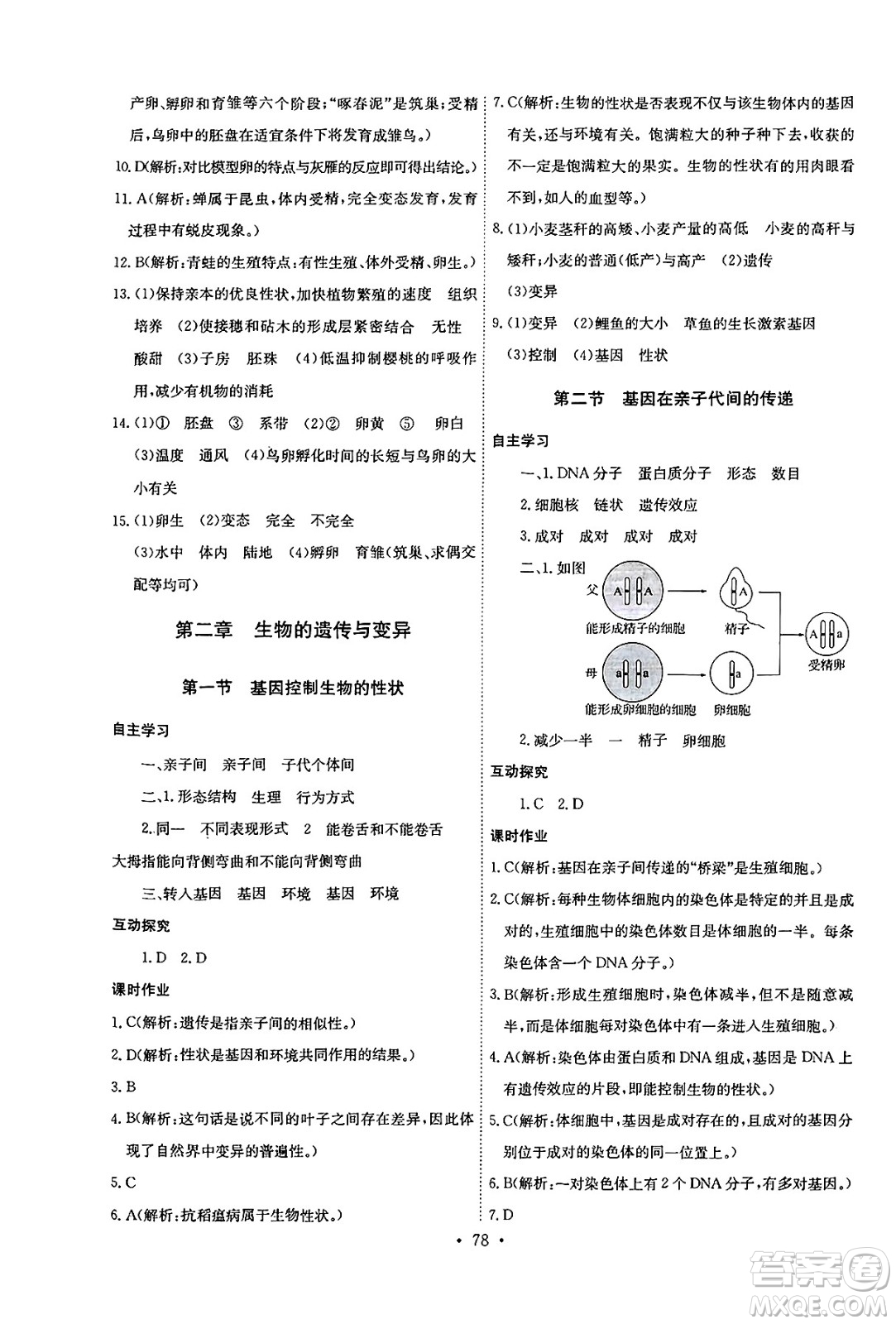 崇文書局2025年春長江全能學(xué)案同步練習(xí)冊八年級生物學(xué)下冊人教版答案