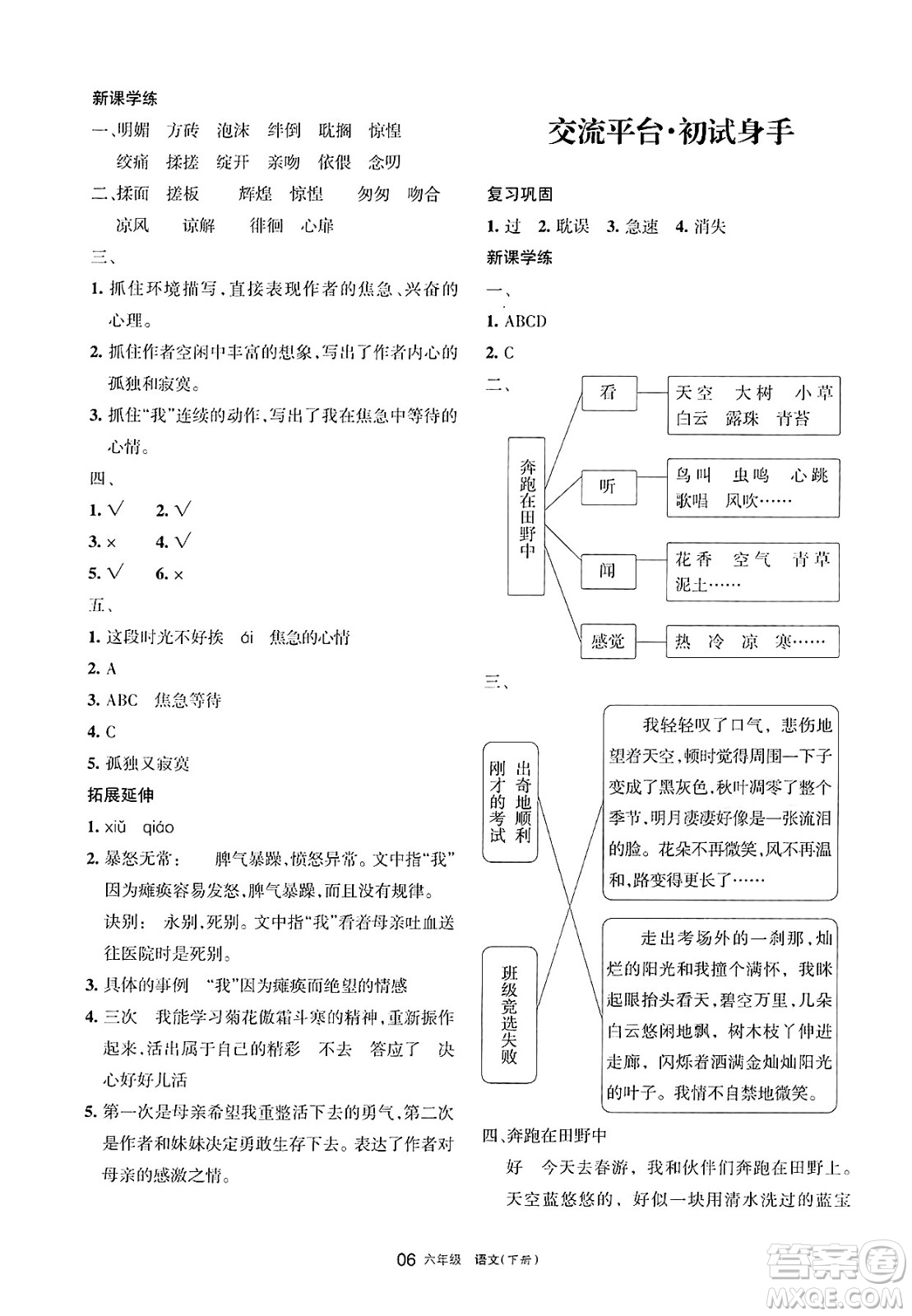 寧夏人民教育出版社2025年春學(xué)習(xí)之友六年級(jí)語(yǔ)文下冊(cè)通用版答案