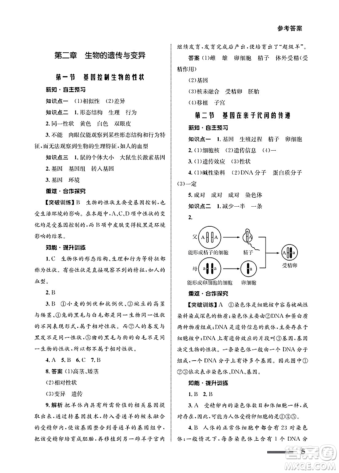 甘肅教育出版社2025年春配套綜合練習(xí)八年級(jí)生物下冊(cè)人教版答案