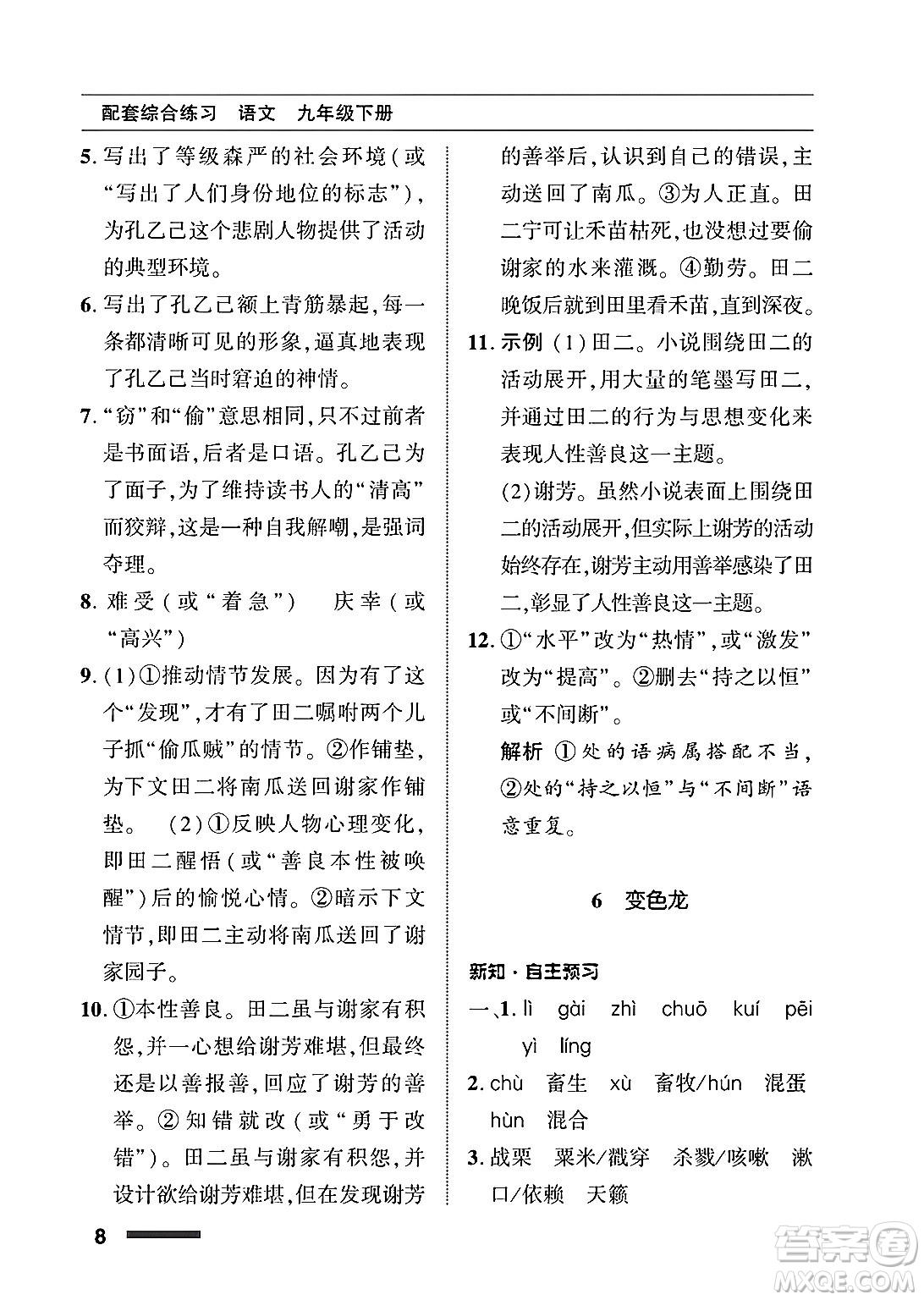 北京師范大學(xué)出版社2025年春配套綜合練習(xí)九年級語文下冊通用版答案