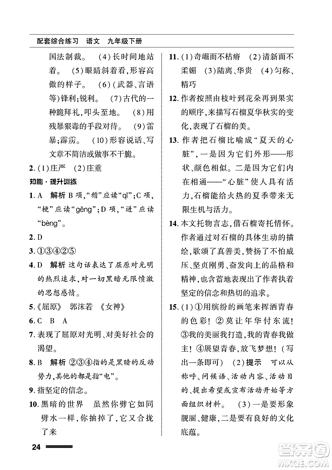北京師范大學(xué)出版社2025年春配套綜合練習(xí)九年級語文下冊通用版答案