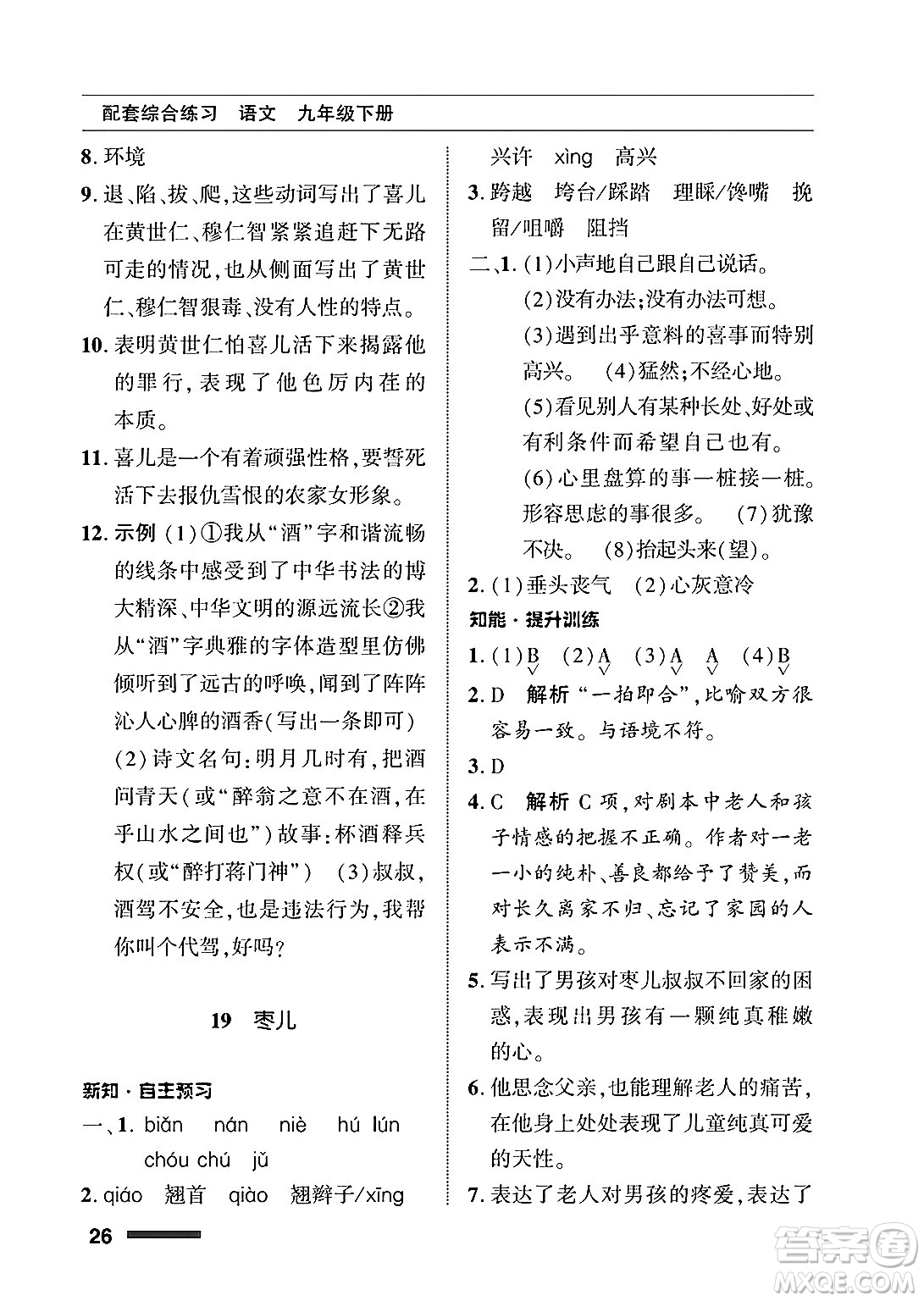 北京師范大學(xué)出版社2025年春配套綜合練習(xí)九年級語文下冊通用版答案