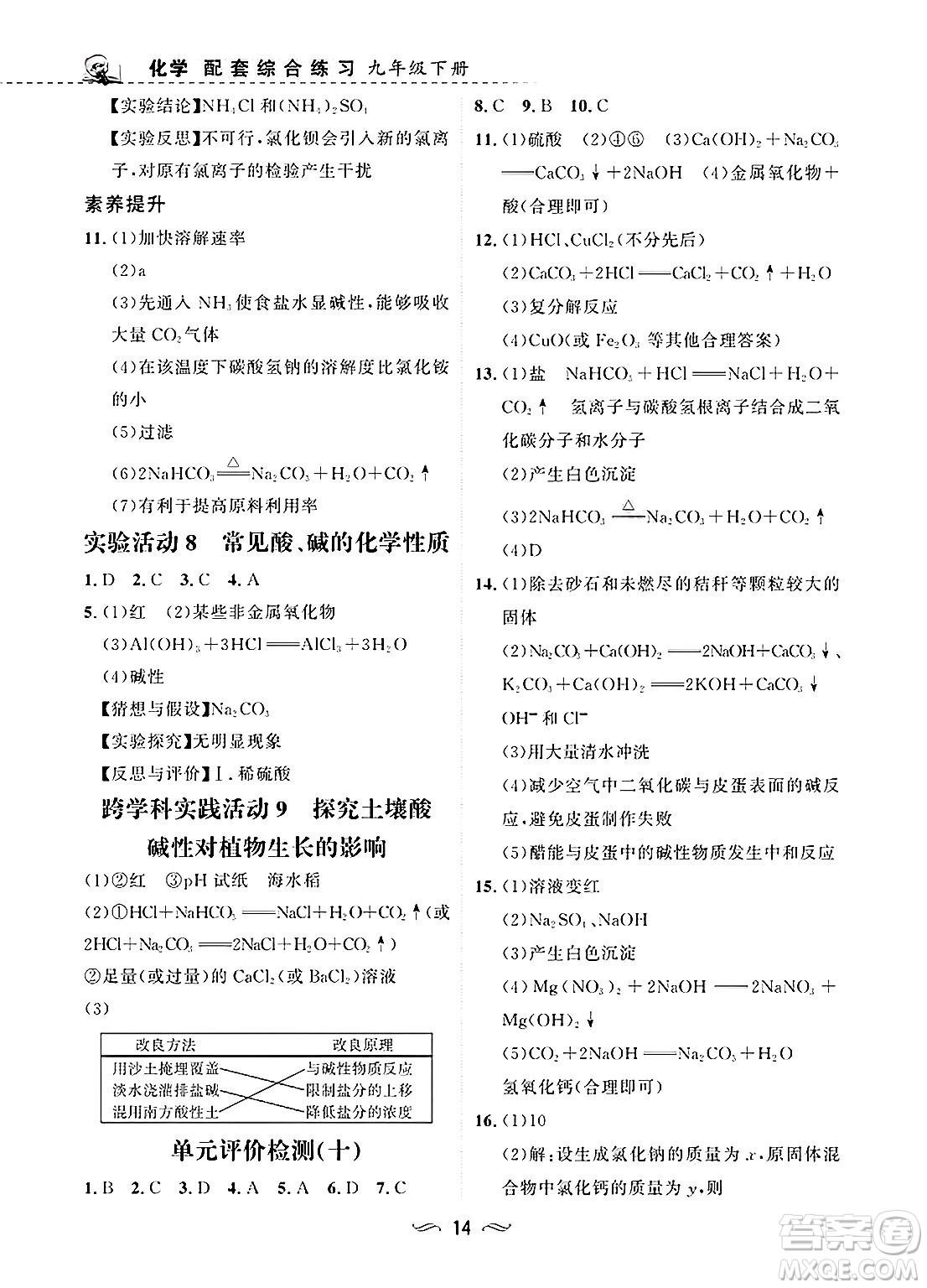 甘肅文化出版社2025年春配套綜合練習(xí)九年級(jí)化學(xué)下冊(cè)人教版答案