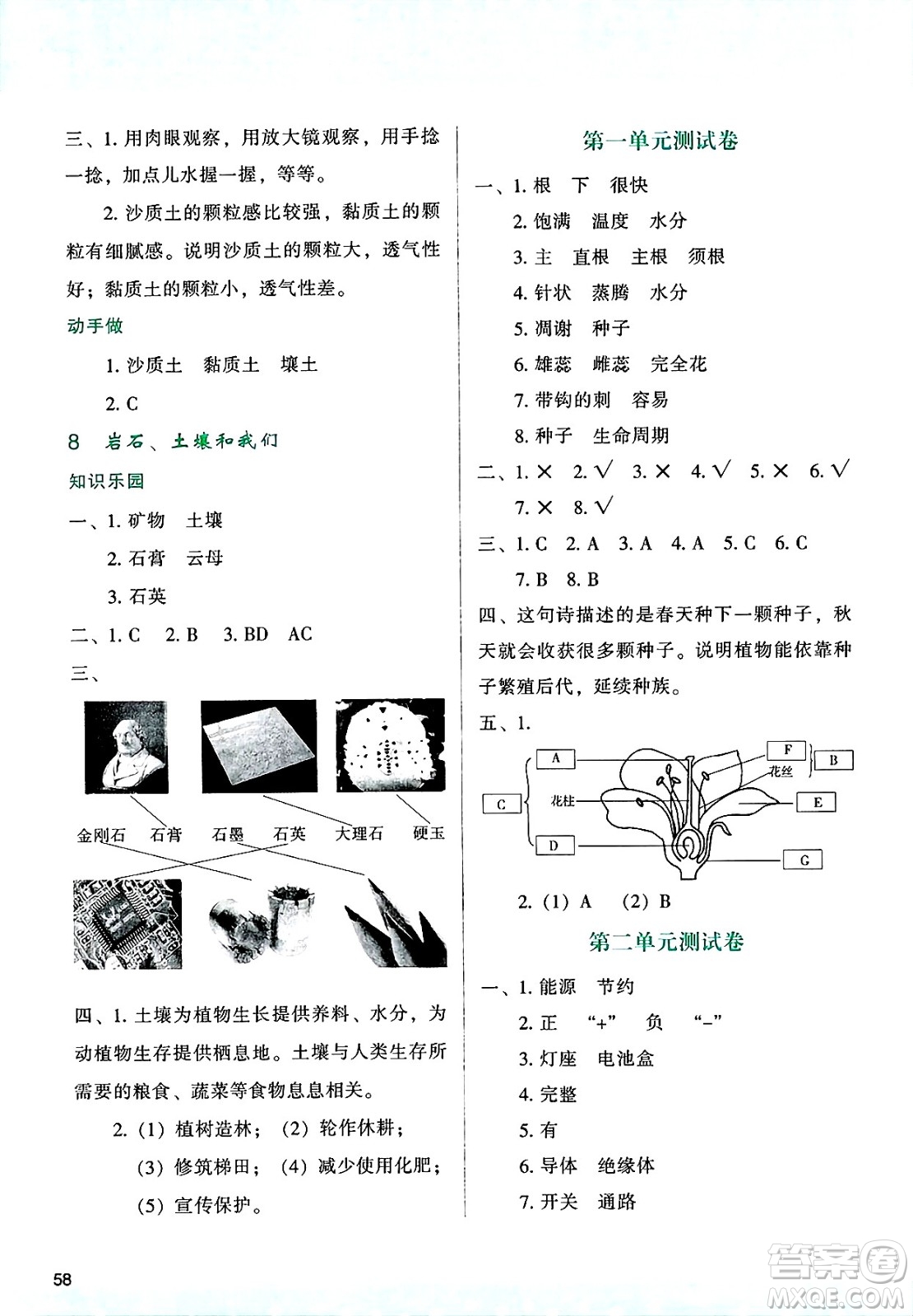 陜西人民教育出版社2025年春學(xué)習(xí)與評(píng)價(jià)四年級(jí)科學(xué)下冊(cè)教科版答案