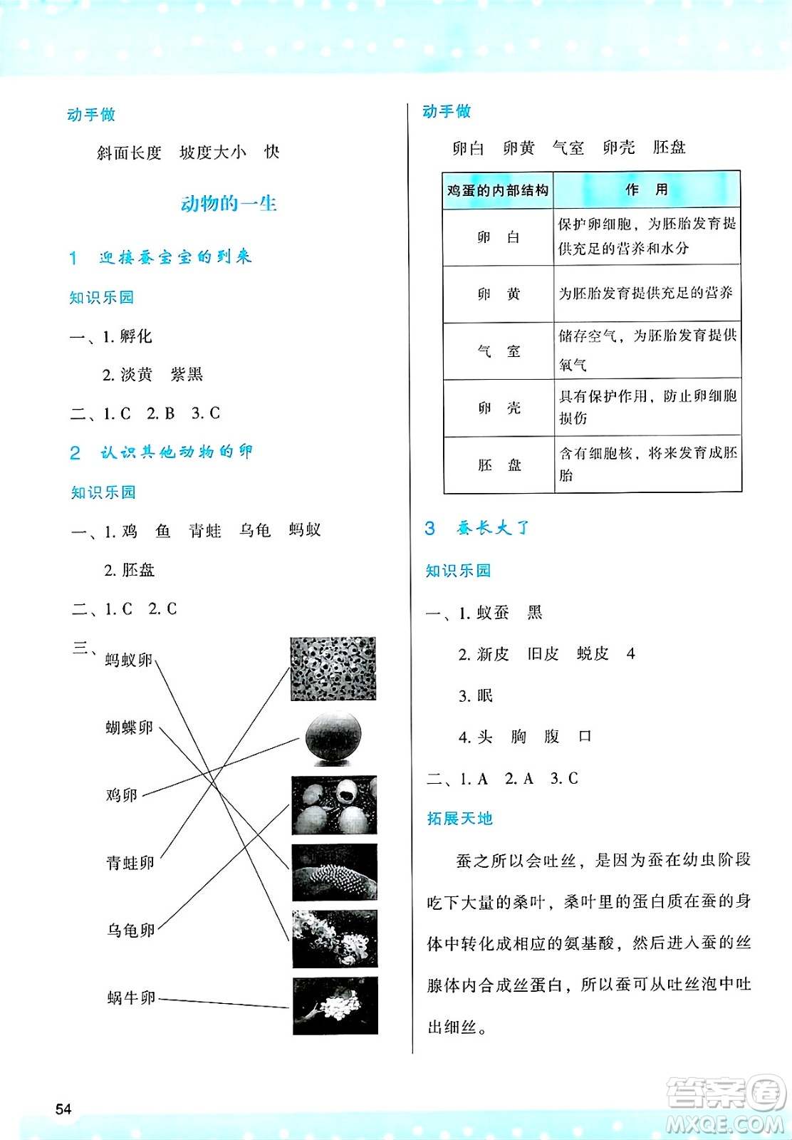 陜西人民教育出版社2025年春學習與評價三年級科學下冊教科版答案