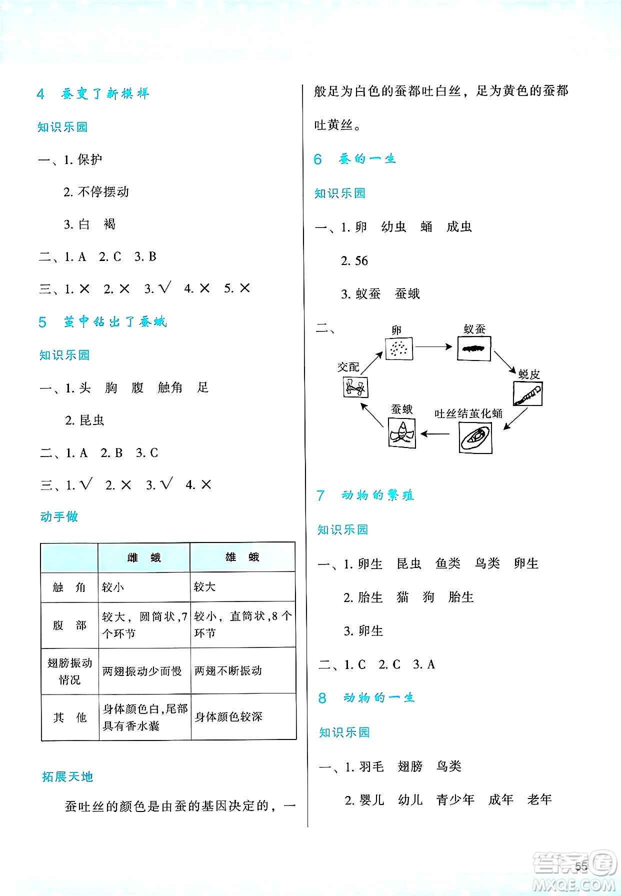 陜西人民教育出版社2025年春學習與評價三年級科學下冊教科版答案