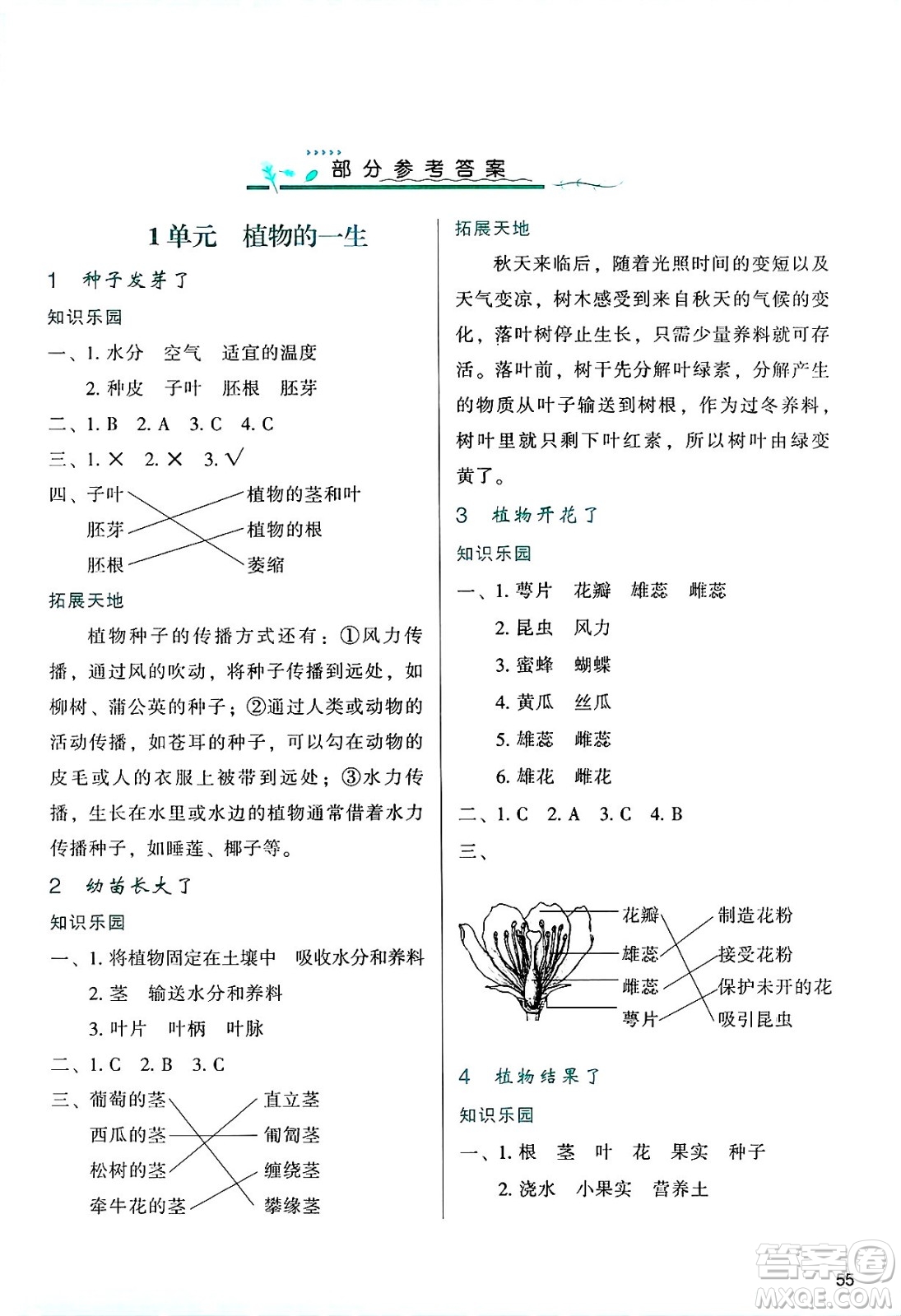 陜西人民教育出版社2025年春學(xué)習(xí)與評(píng)價(jià)三年級(jí)科學(xué)下冊(cè)蘇教版答案