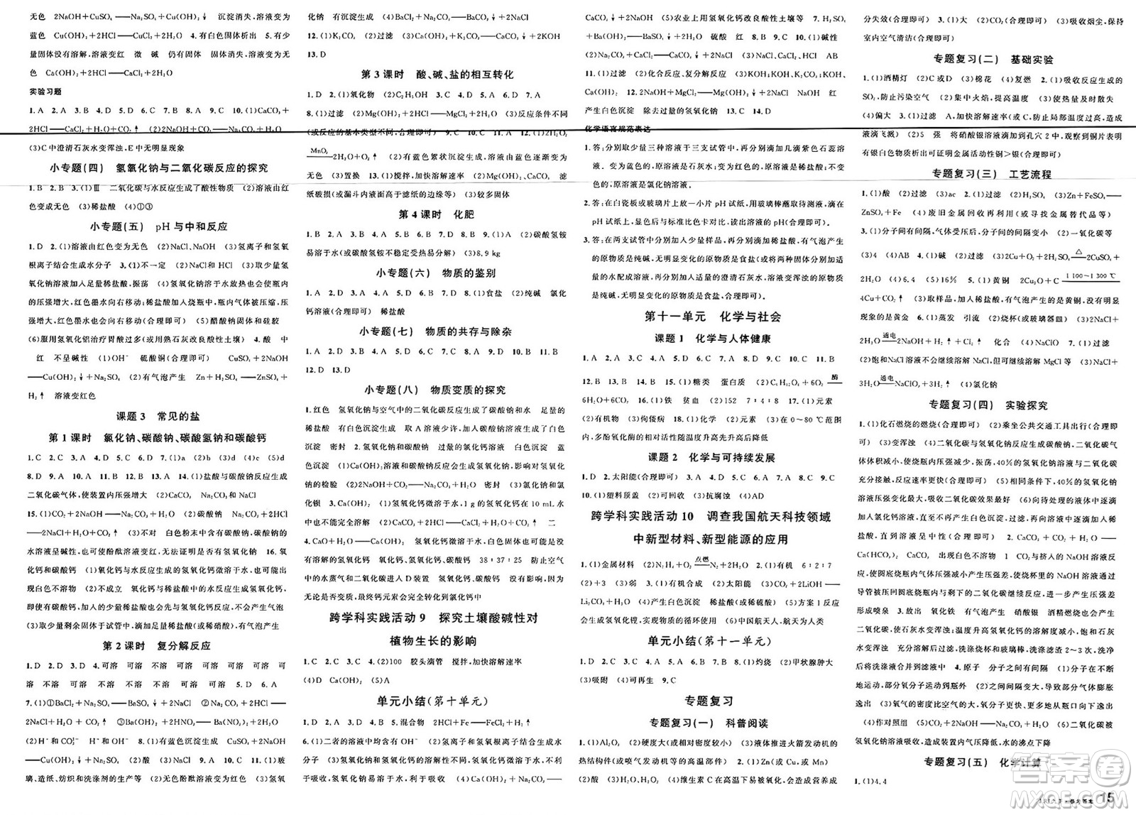 廣東經(jīng)濟出版社2025年春名校課堂九年級化學下冊人教版湖南專版答案