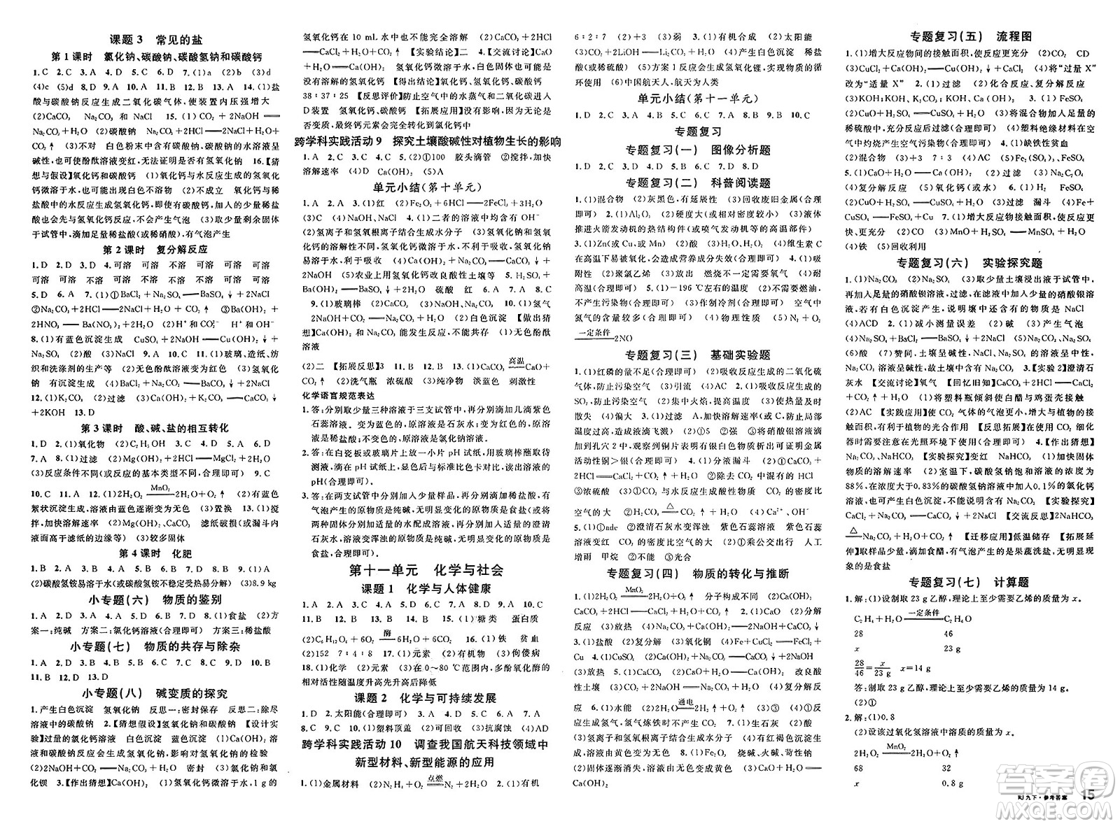 開明出版社2025年春名校課堂九年級化學(xué)下冊人教版答案