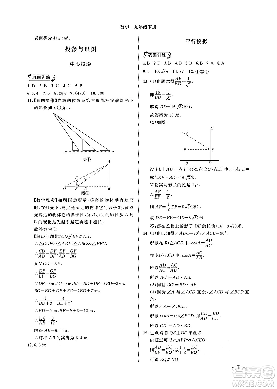 山東人民出版社2025年春初中卷行知天下九年級數(shù)學下冊青島版答案