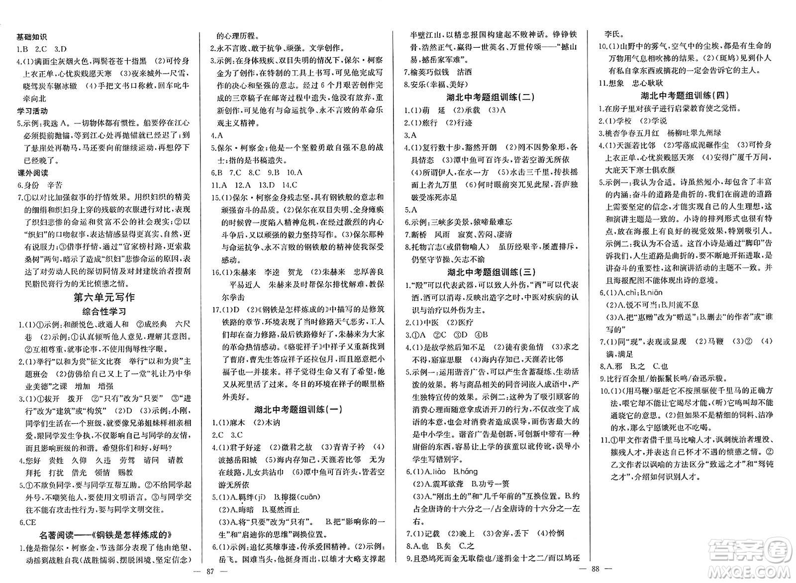 長江少年兒童出版社2025年春思維新觀察八年級語文下冊人教版答案