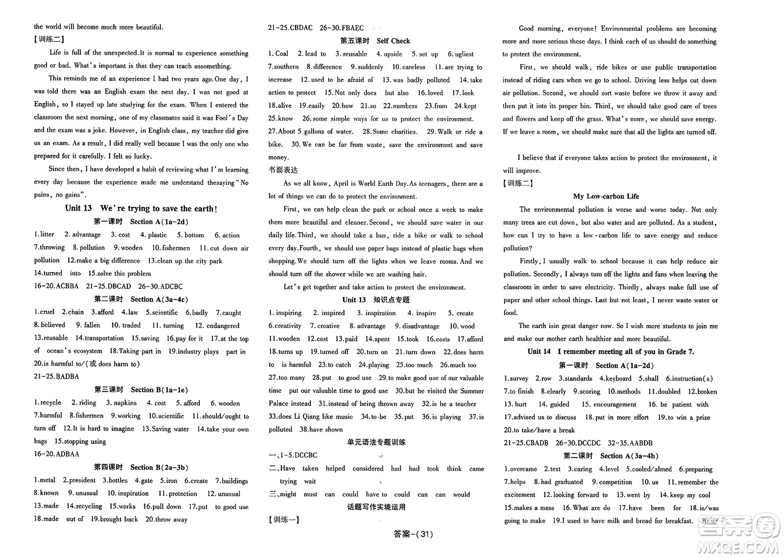 武漢出版社2025年春思維新觀察課時必練九年級英語下冊通用版答案
