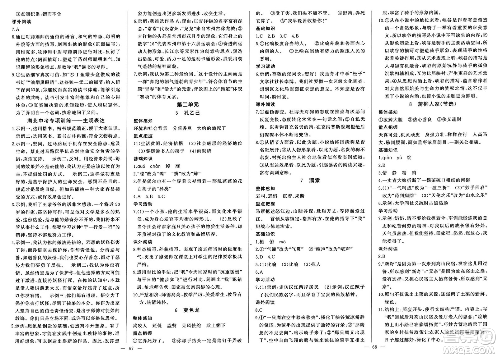 長江少年兒童出版社2025年春思維新觀察九年級語文下冊人教版答案