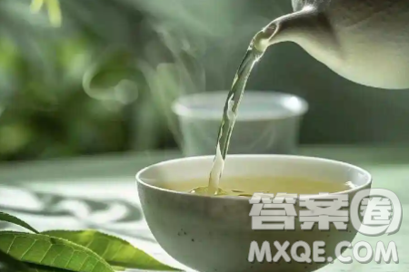 泡茶流程材料作文800字 關(guān)于泡茶流程的材料作文800字