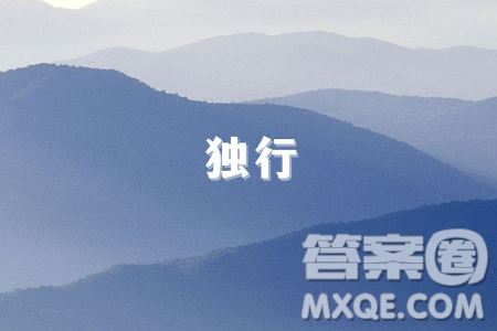 對(duì)隨行同行獨(dú)行三種生命姿態(tài)的理解材料作文800字